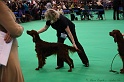 Crufts2011 352